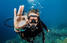 Open Water Course in Tulamben - Get Certified in Bali