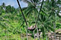 Bali Culture and Choose Your Bali Tour Route in Bali with Bali driver-Free WIFI