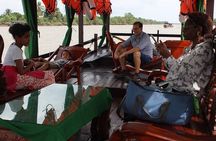 Mekong Delta Tour