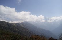 Mardi Himal Trek 