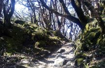 Mardi Himal Trek 