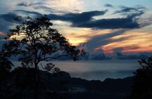 Langkawi Rainforest Afterdark