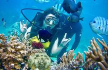 Private Scuba Diving Tour Nha Trang Included Lunch