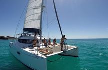 Exclusive Sailing Catamaran Experience to Lobos Island with lunch and drinks