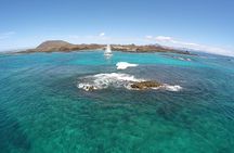 Exclusive Sailing Catamaran Experience to Lobos Island with lunch and drinks