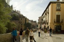 Granada Private Walking Tour with Cathedral & Royal Chapel