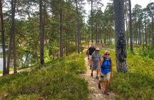 Four Natural Ecosystems In One Hike