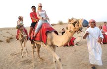 Desert Safari With Camel Ride