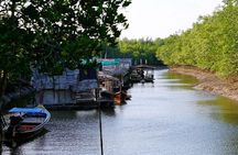 Tung Yee Peng Mangrove Forest Tour By Longtail Boat From Koh Lanta