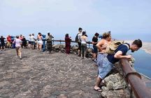 Lanzarote César Manrique Tour: with Jameos or Green Cave