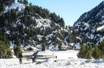 Pyrenees & Medieval Towns Small Group Tour from Barcelona
