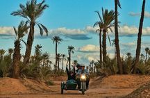 Essential Ride by sidecar (Marrakech off the beaten path) 1h30