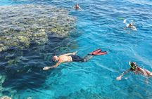 Snorkeling Trip at Hamata Islands From Marsa Alam