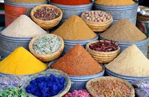 Marrakesh guided tour 