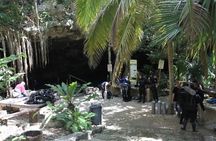 Go for 2 dives in cenote Dos ojos for certified divers