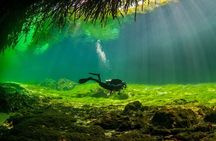 2 tanks Cenote Diving Adventure in Tulum for Certified Divers