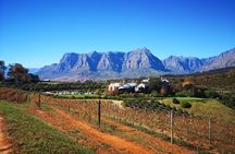 Full-Day Chocolate, Cheese, Olive and Wine Tour from Stellenbosch
