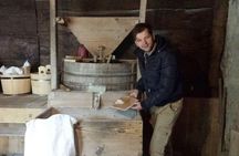Private Guided Day Tour of Plitvice National Park from Zagreb