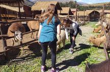 Super City Tour Cusco full day with lunch