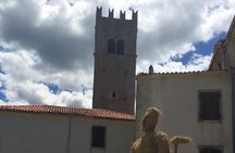 Truffle Istria Private Guided Day Trip from Zagreb