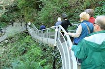 Full Day Tour To Kutaisi, Prometheus Caves, Bagrati and Gelati