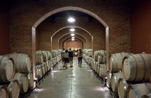 Lujan & Maipu - Private - The Best WineTour & Lunch