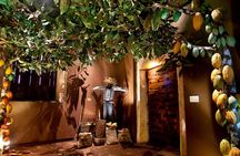 Chocolate-making experience & Colonial Zone walking tour