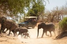 2 Days in Hwange National Park from Victoria Falls 