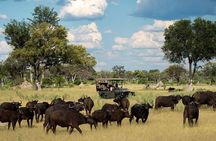 2 Days in Hwange National Park from Victoria Falls 