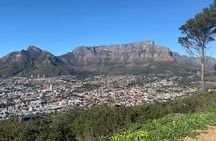 Cape Town Scenic Experience in 2 Days