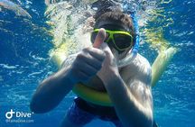 Snorkeling at Catalina Islands