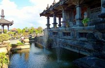 Bali Car-Charter: Half Day Denpasar City Tour