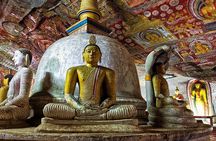 Sigiriya and Dambulla Day Tour | From Kandy