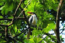 Bird Watching Tour Sri Lanka - 10 Days