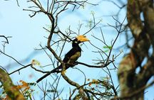 Bird Watching Tour Sri Lanka - 10 Days