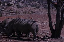 Aquila Game Drive and Safari
