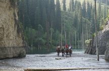 Private tour from Almaty 2 days Kolsai / Kaindy / Charyn