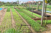 Full Experience Tour: Cooking Class & Basket Boat at Eco-Village