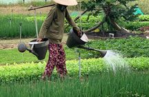 Full Experience Tour: Cooking Class & Basket Boat at Eco-Village