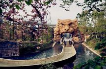 Chessington World of Adventures Independent Full Day Private Tour