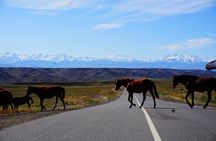Private tour from Almaty Charyn canyon on Comfortable SUV