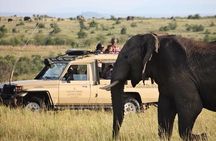 3 Days Maasai Mara Adventure