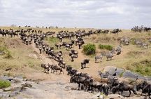 3 Days Maasai Mara Adventure