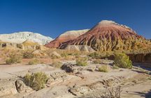 4-Day Altyn Emel Park + Kolsai & Kaindy Lakes + Charyn Canyon jeep-tour