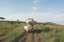 7 Days 6 Nights Aberdares / Lake Nakuru / Masai Mara / Lake Naivasha / Amboseli