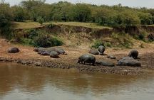 7 Days 6 Nights Aberdares / Lake Nakuru / Masai Mara / Lake Naivasha / Amboseli