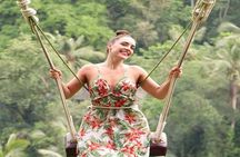 Swing Bali-Ubud Rice Terrace_Elephant Cave & Ubud Waterfall