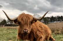 Rob Roy,Mary Queen Of Scots,Castles,Highlands,Lochs,Trossachs,Whisky!
