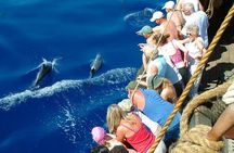 Relax Boat Trip & Swimming Tour From Alanya