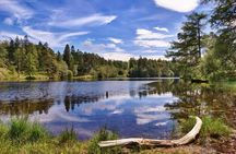 3 hour Private morning tour